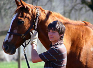 Film: Teenage Champion - Go for Gold!