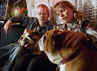 Film: Lost Dogs