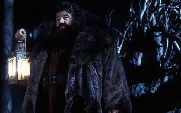 Film: Harry Potter und der Stein der Weisen - Bild4