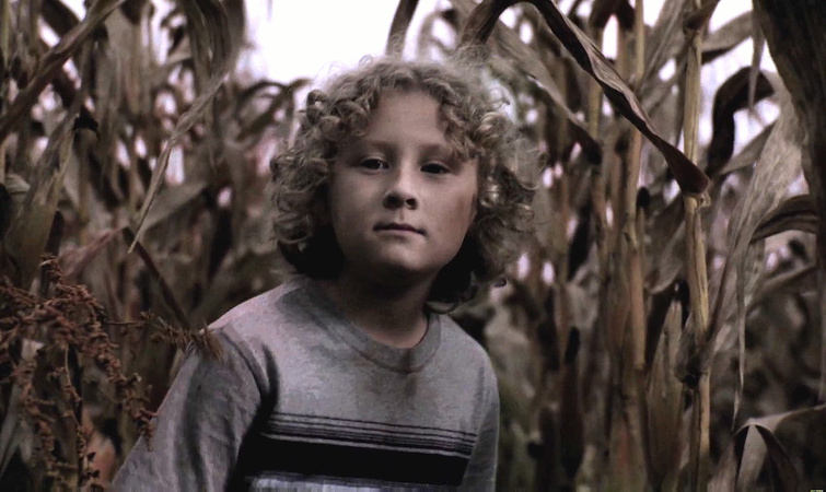 Film: The Fields - Basierend auf wahren Ereignissen!