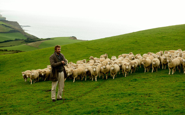 Film: Am grünen Rand der Welt - Bild7
