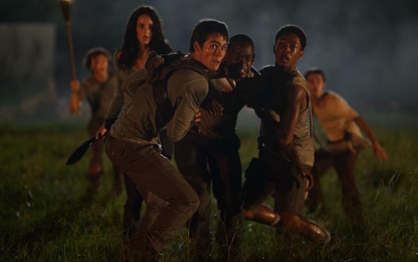 Film: Maze Runner - Die Auserwählten im Labyrinth - Bild2