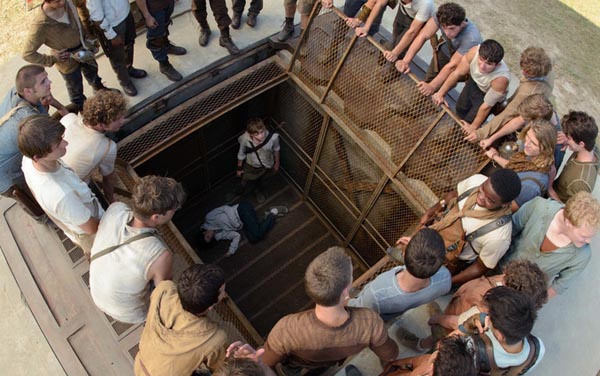Film: Maze Runner - Die Auserwählten im Labyrinth - Bild3