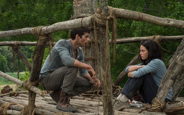 Film: Maze Runner - Die Auserwählten im Labyrinth - Bild4