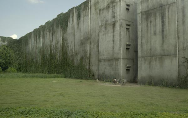 Film: Maze Runner - Die Auserwählten im Labyrinth - Bild5