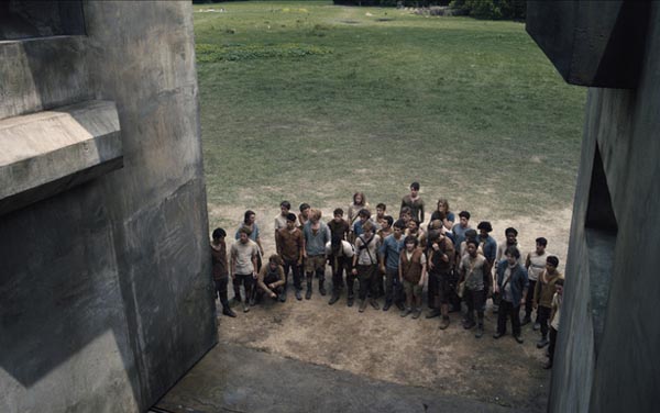 Film: Maze Runner - Die Auserwählten im Labyrinth - Bild6