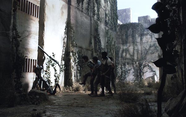 Film: Maze Runner - Die Auserwählten im Labyrinth - Bild9