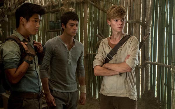 Film: Maze Runner - Die Auserwählten im Labyrinth - Bild10