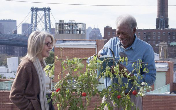 Film: Ruth & Alex - Verliebt in New York - Bild8