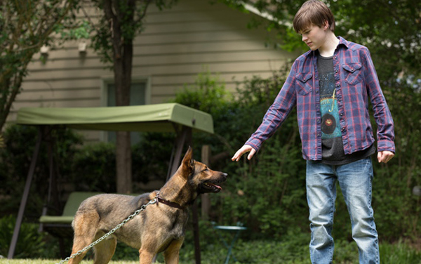 Film: Max - Bester Freund. Held. Retter. - Bild1