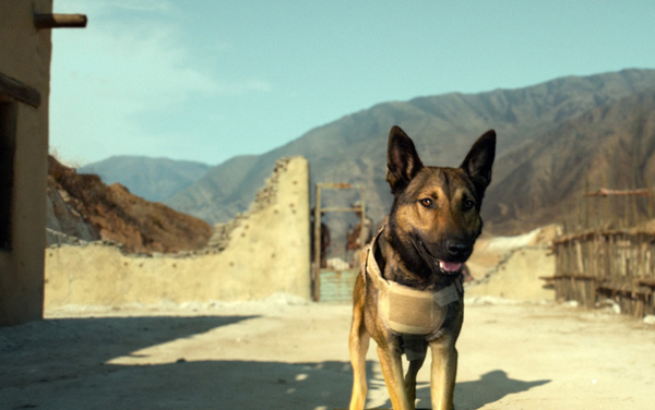 Film: Max - Bester Freund. Held. Retter. - Bild4