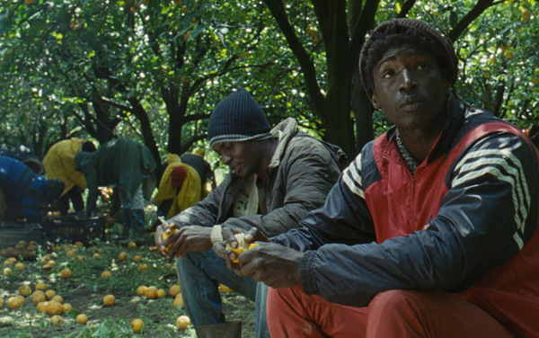 Film: Mediterranea - Refugees Welcome?