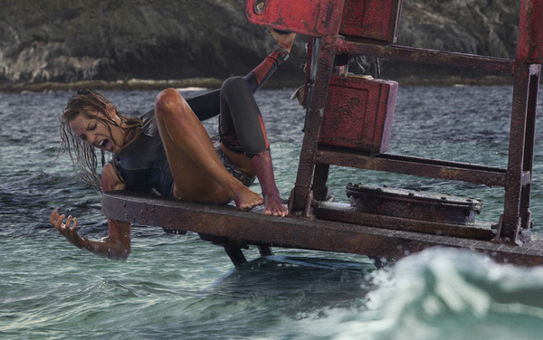 Film: The Shallows - Gefahr aus der Tiefe - Bild5
