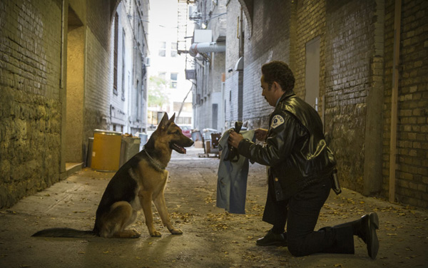 Film: Bailey - Ein Freund fürs Leben - Bild7