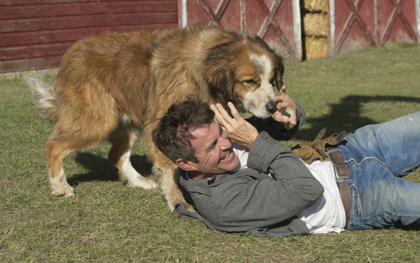 Film: Bailey - Ein Freund fürs Leben - Bild12