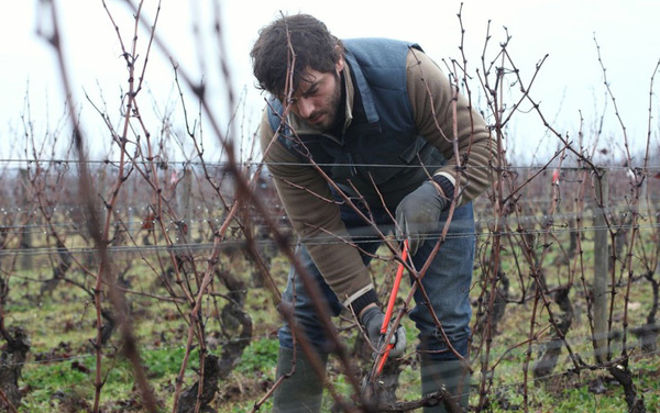 Film: Der Wein und der Wind - Bild2