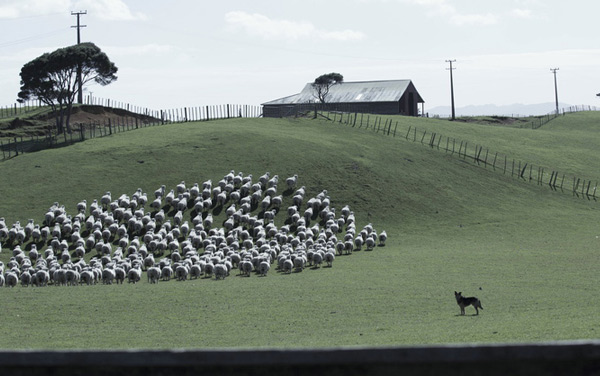 Film: Mahana - Eine Maori-Saga - Bild7