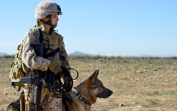 Sergeant Rex - Nicht Ohne Meinen Hund - Film streamen