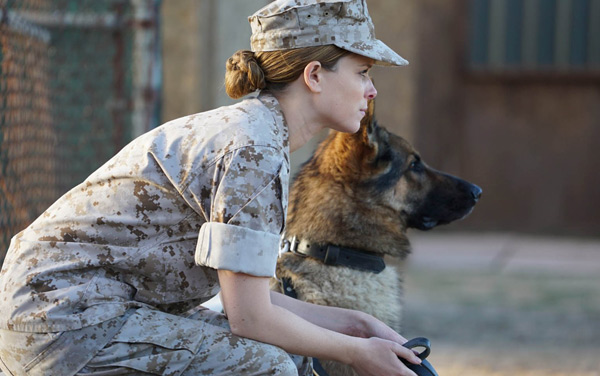 Film: Sergeant Rex - Nicht ohne meinen Hund - Bild7
