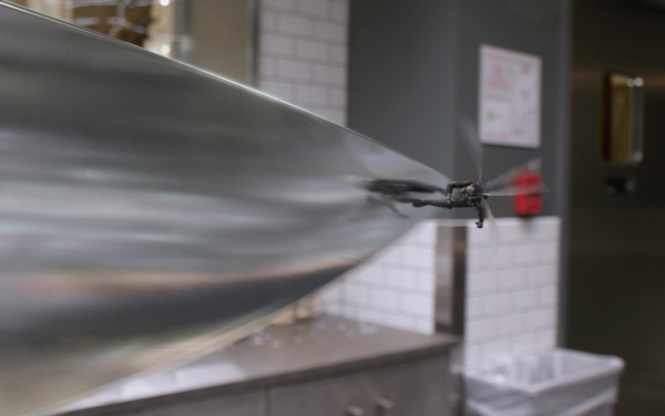 Film: Ant-Man and the Wasp - Bild3