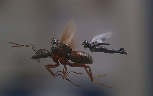 Film: Ant-Man and the Wasp - Bild4