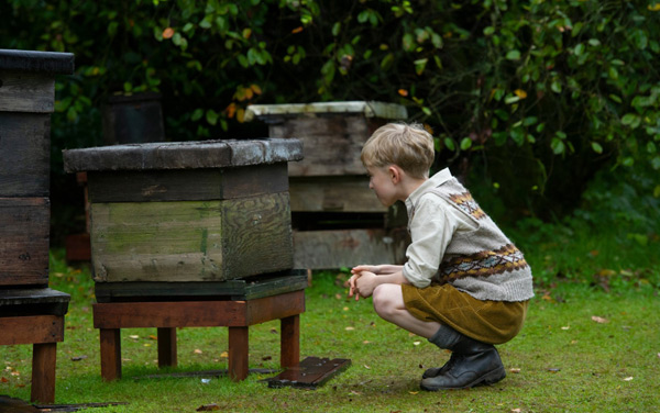 Film: Der Honiggarten - Das Geheimnis der Bienen - Bild4