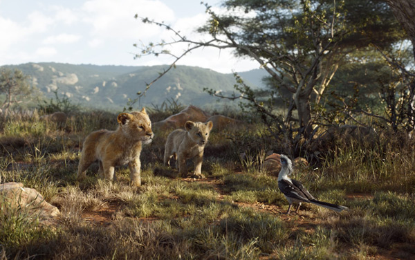 Film: Der König der Löwen (2019) - Bild4
