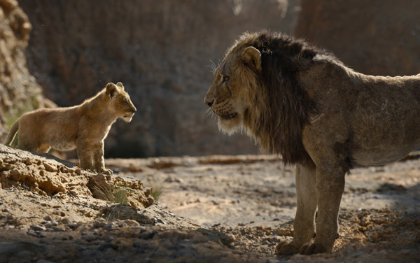Film: Der König der Löwen (2019) - Bild6