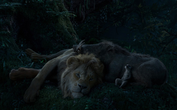 Film: Der König der Löwen (2019) - Bild8