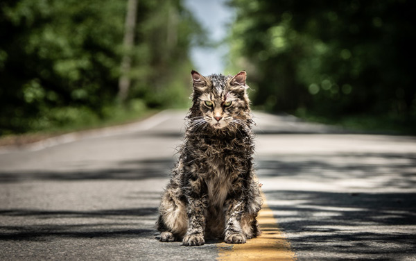 Film: Friedhof der Kuscheltiere
