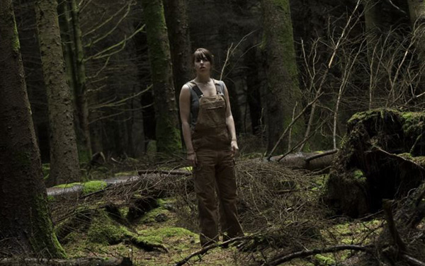 Film: The Hole in the Ground - Bild1