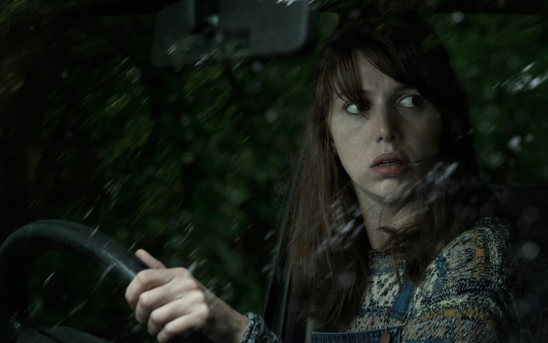 Film: The Hole in the Ground - Bild3