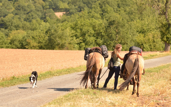 Film: Wildherz - Auf der Reise zu mir selbst - Bild2