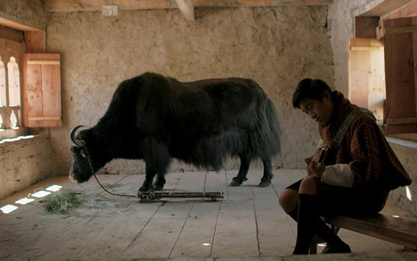 Film: Lunana. Das Glück liegt im Himalaya - Bild2