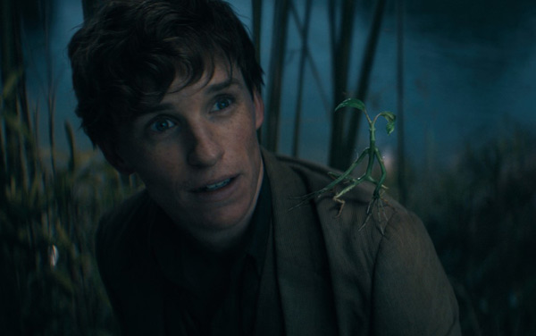 Film: Phantastische Tierwesen 3: Dumbledores Geheimnisse - Bild4